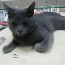 cino-44 adlı kullanıcı