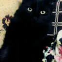 Deryaya adlı kullanıcı